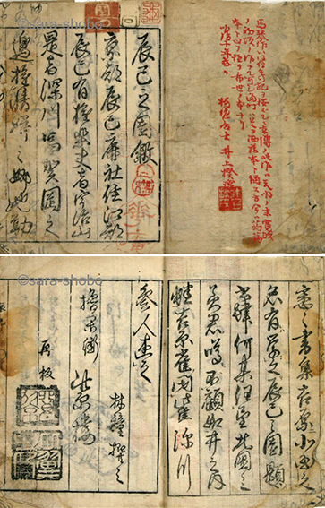 辰巳之園